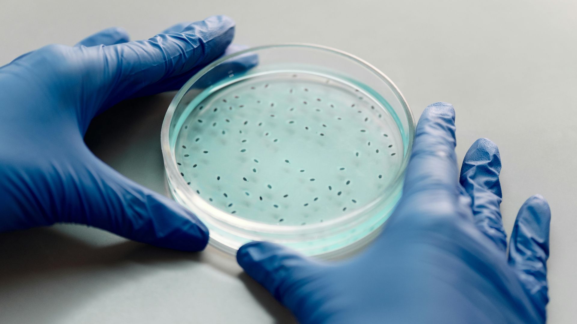 GPO nitrile glove sourcing strategies